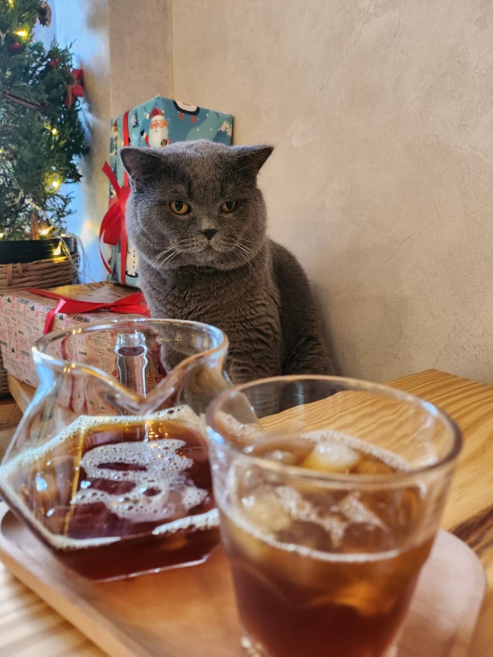 Food and drinks, Pets