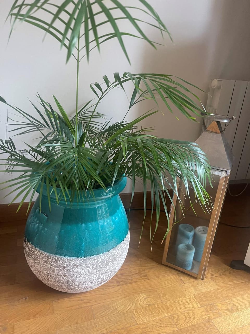 Paris & Versailles at your feet! Shared room in nice house Apartment in Île-de-France