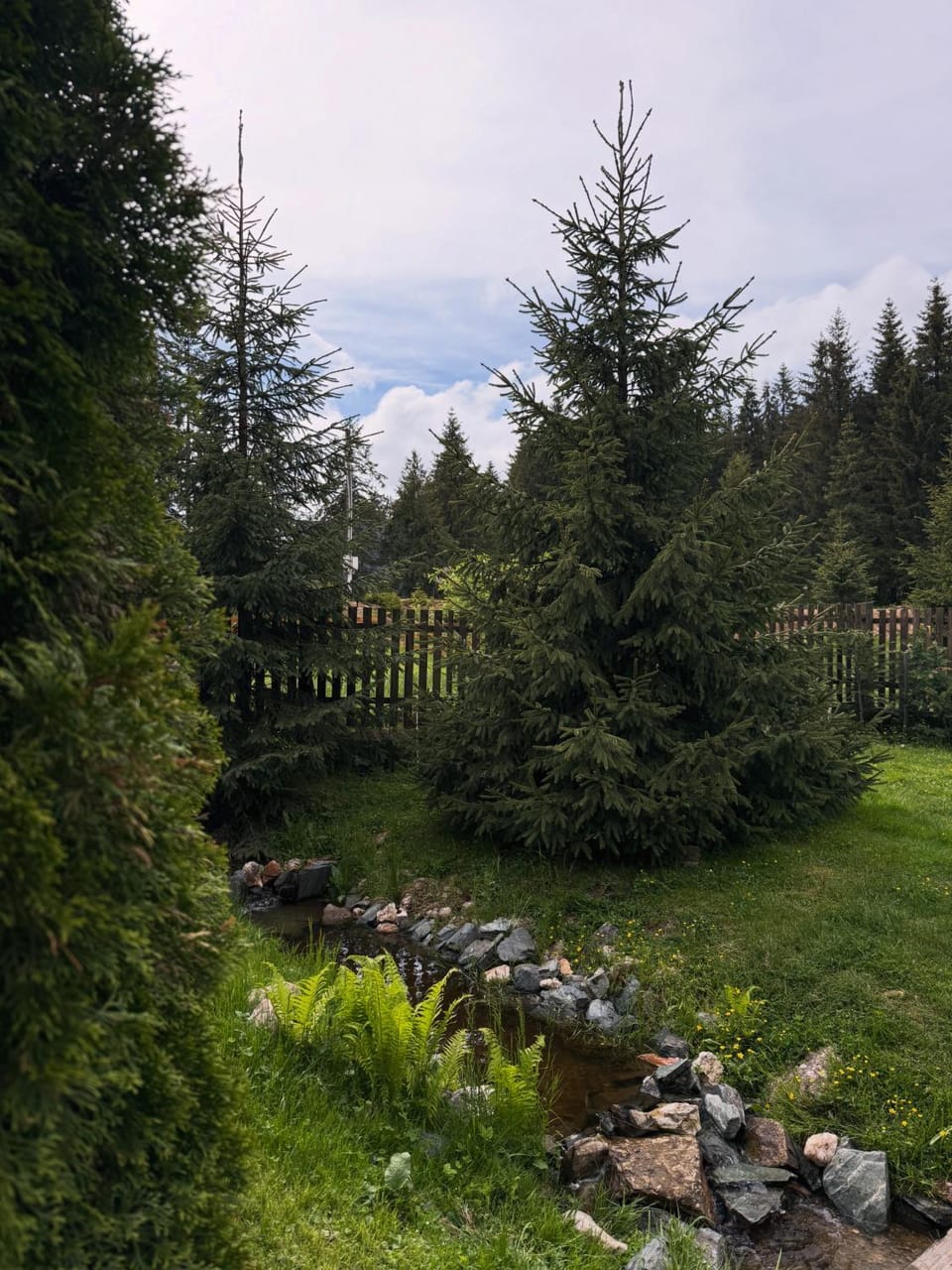 Cabana Andre Vartop Bed and Breakfast in Cluj County