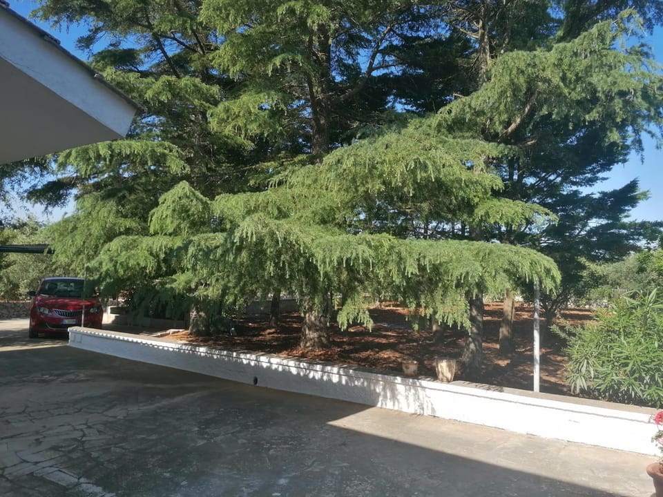 Garden, Garden view