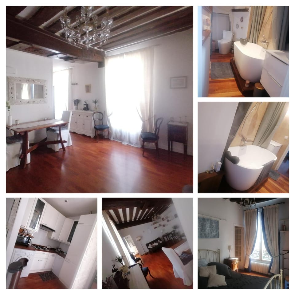 Cœur de Paris Montorgueil - Heart of Paris - Charming super central apartment for your ideal Parisian days - Apartment in Paris
