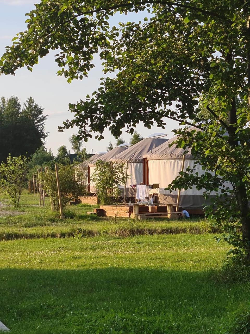 Property building, Spring, Natural landscape, Garden view