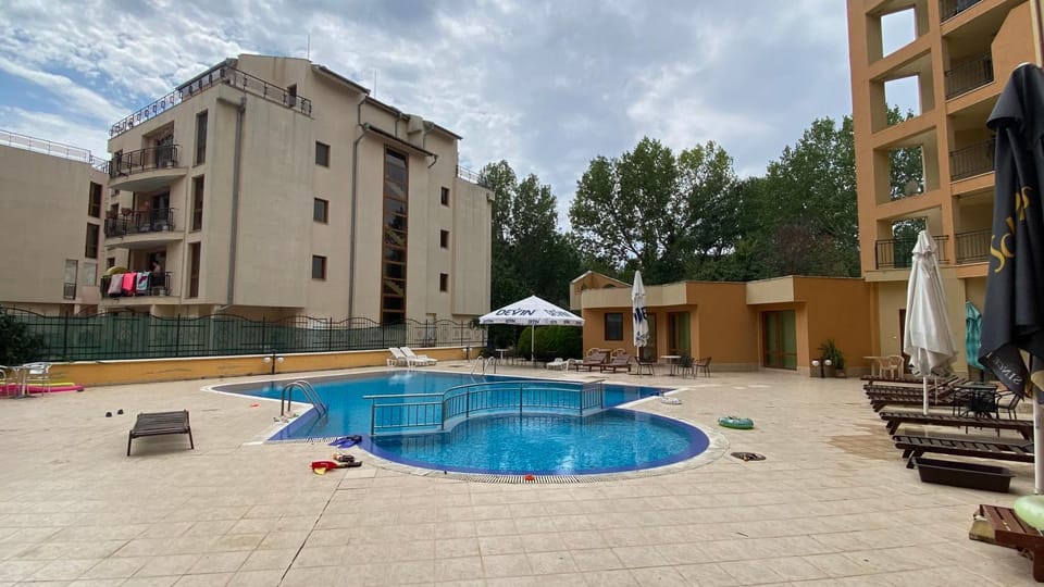 Day, Pool view, Swimming pool, sunbed