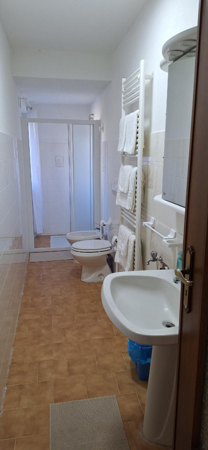 Shower, Toilet, Bathroom, bidet
