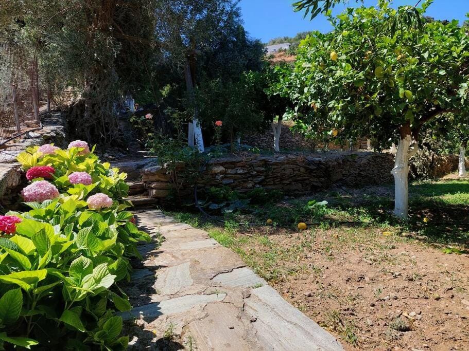 ΚΑΜΑΡΑ - Παραδοσιακό σπίτι σε αγρόκτημα με θέα House in Decentralized Administration of the Aegean