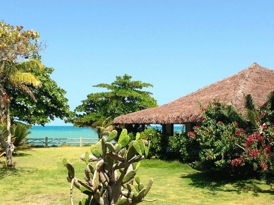 Day, Garden, Sea view