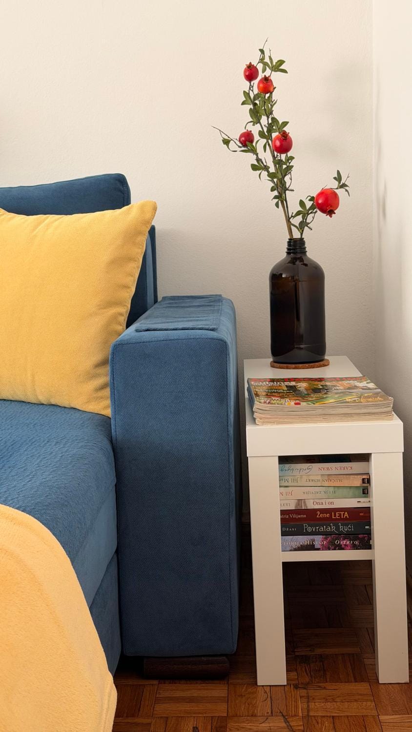 Apartment Svetionik Apartment in Novi Sad