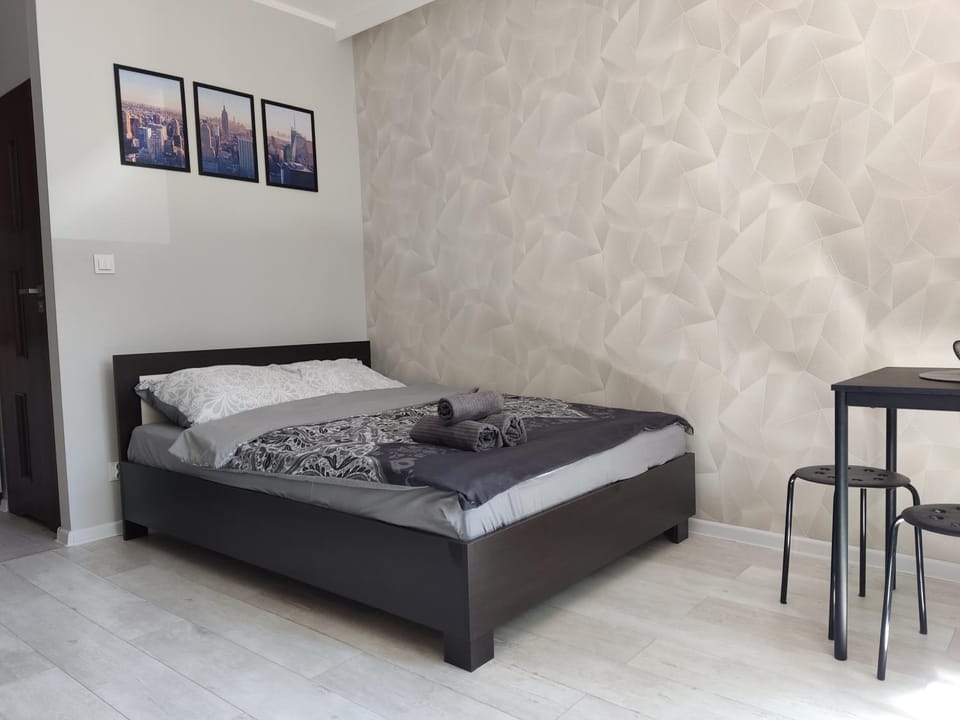 Apartament Curie Apartment in Czechia