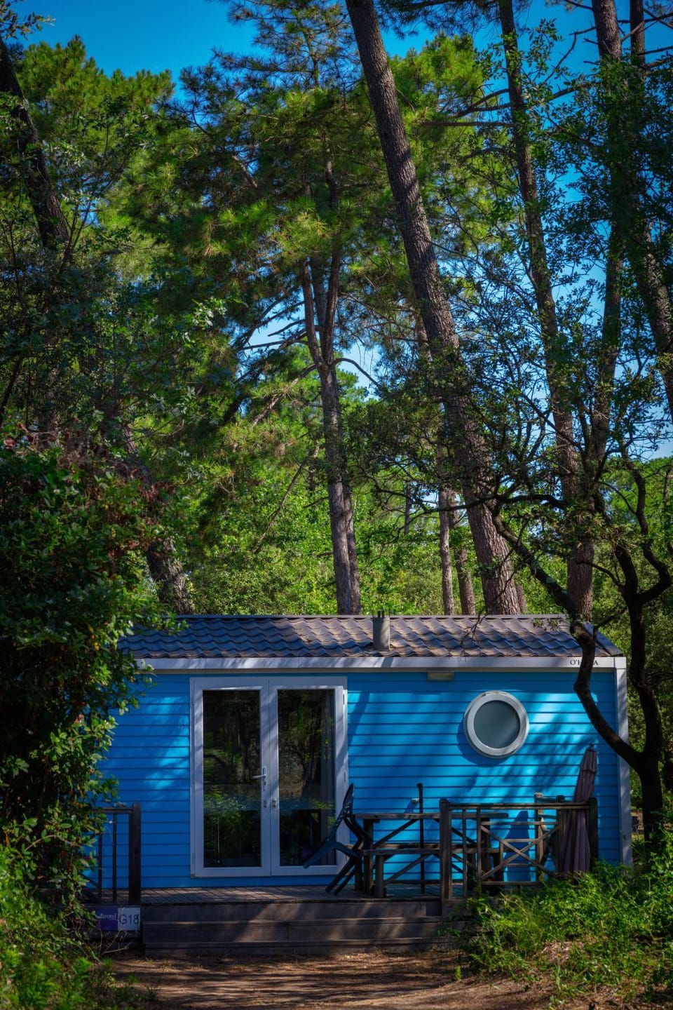 Day, Natural landscape, Garden view