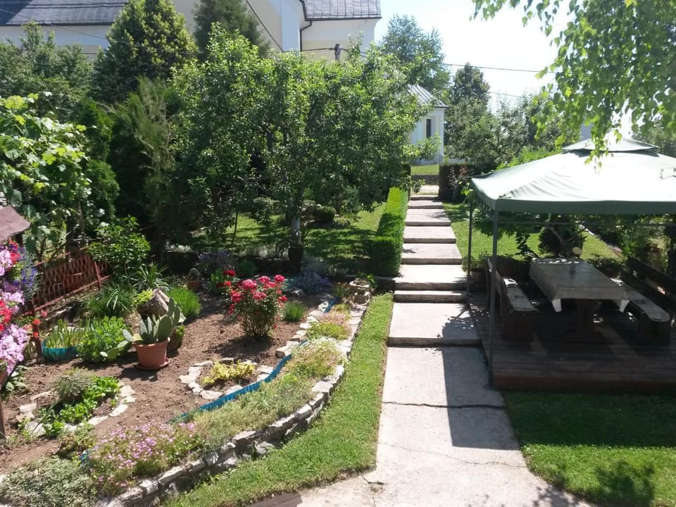 Patio, Natural landscape, Summer, Seating area, Garden view