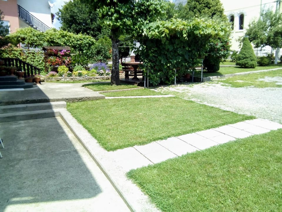 Patio, Day, Garden