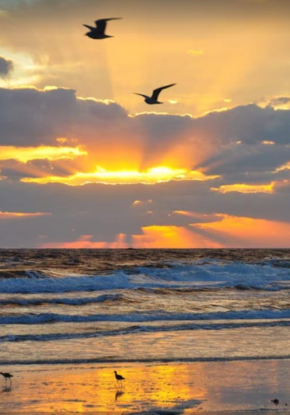 Day, Natural landscape, Beach, Sea view, Sunrise