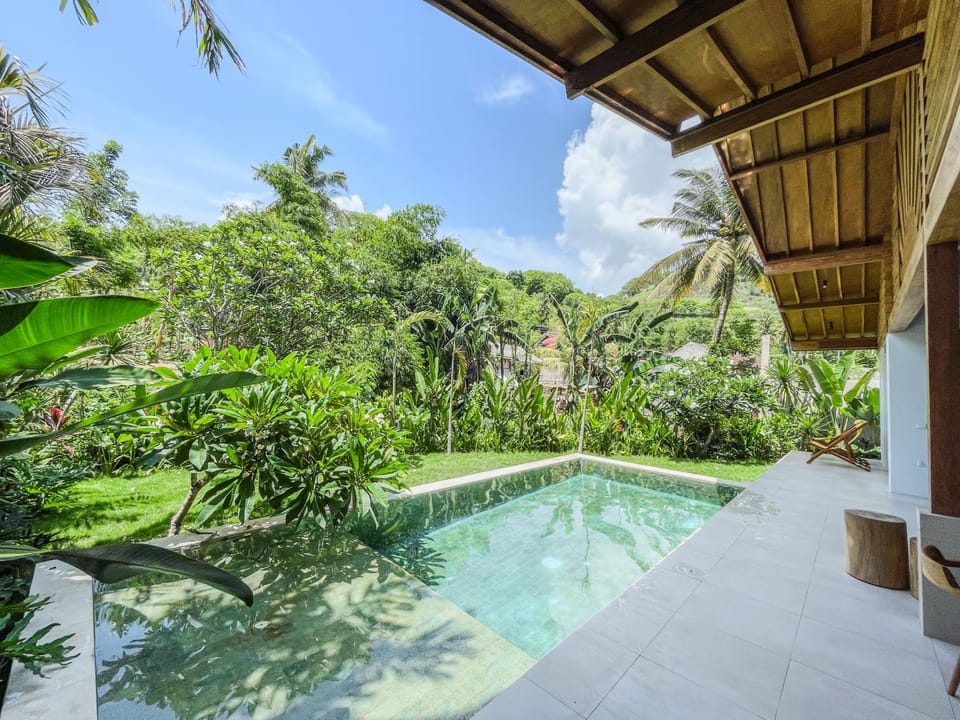 Garden, Garden view, Swimming pool