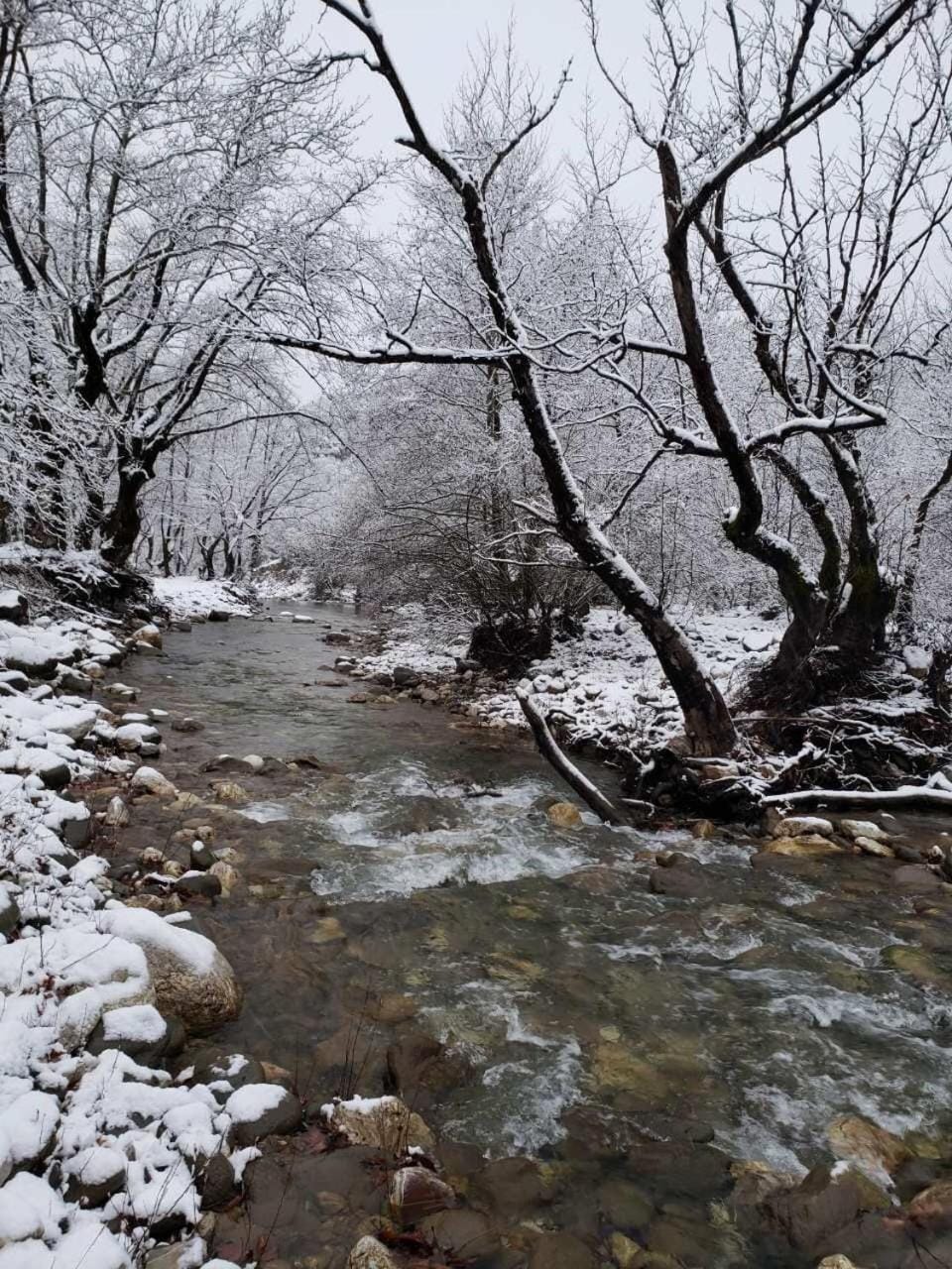 Natural landscape