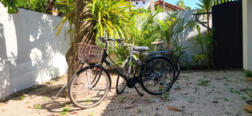 Cycling, Cycling