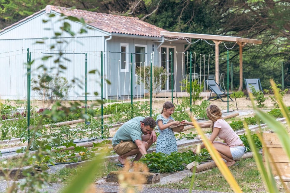 Garden, Garden view