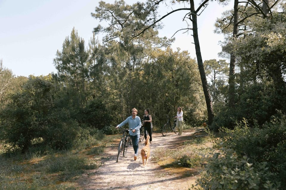 Day, Natural landscape, Cycling