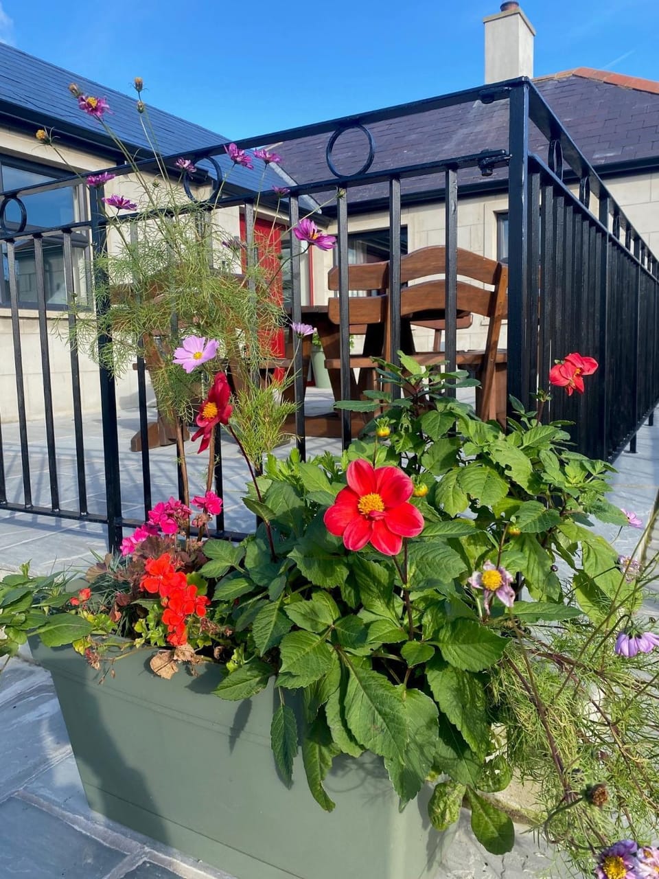 Garden view