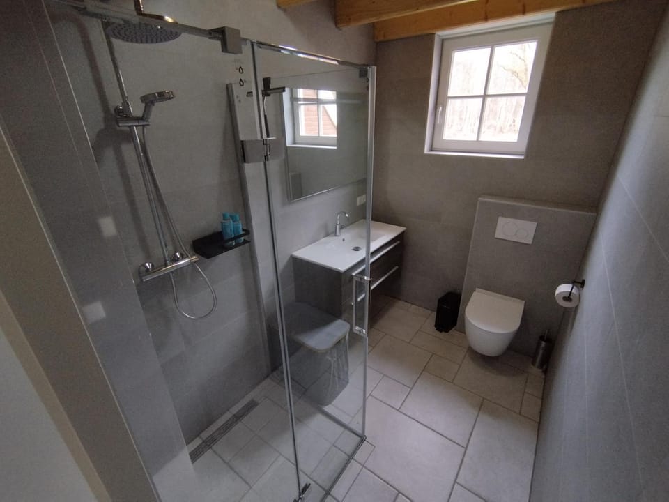 Shower, Toilet, Bathroom, towels