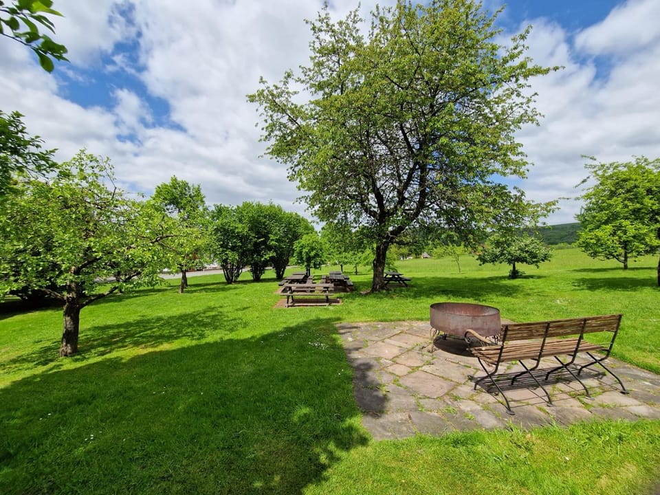 Garden view