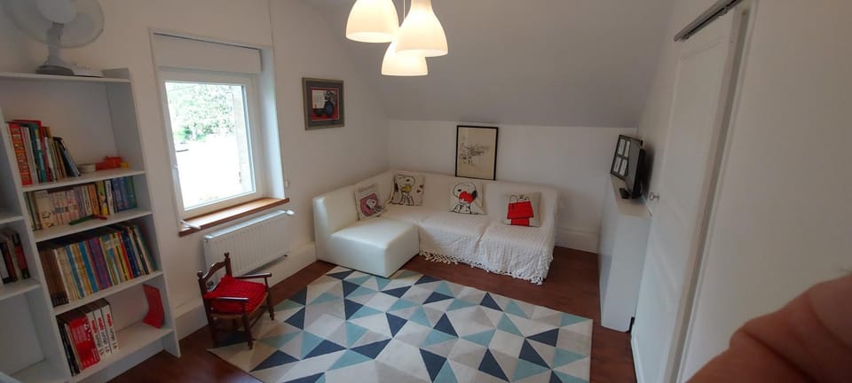Library, TV and multimedia, Living room, Seating area