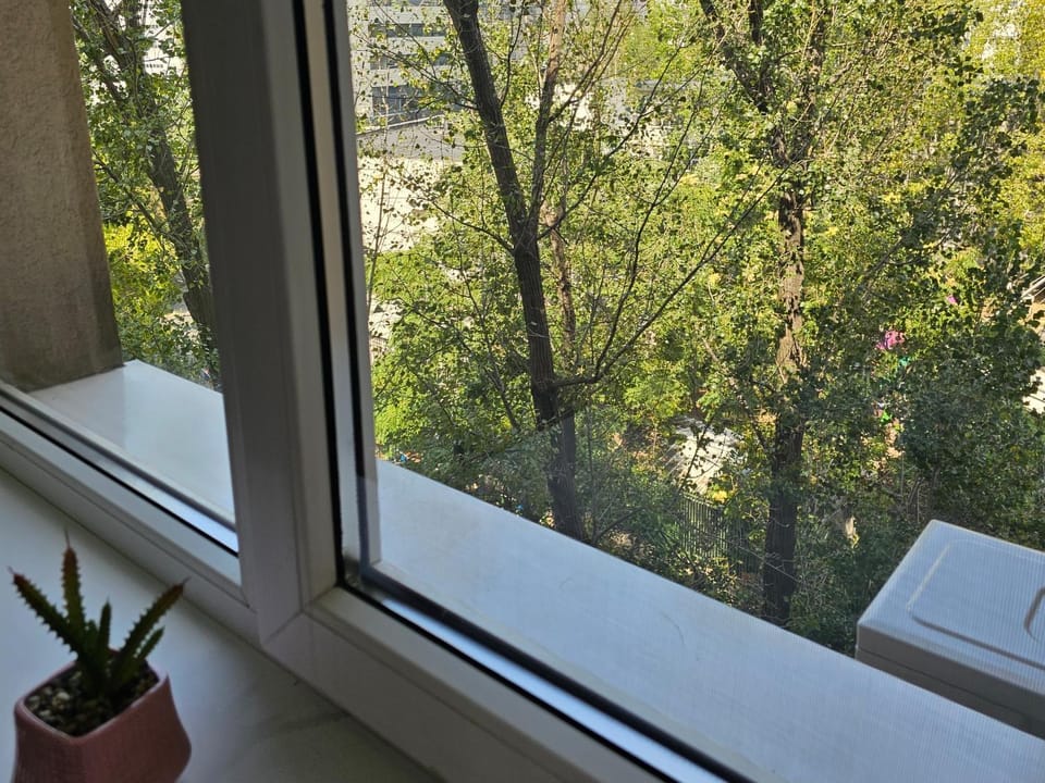 Natural landscape, View (from property/room)