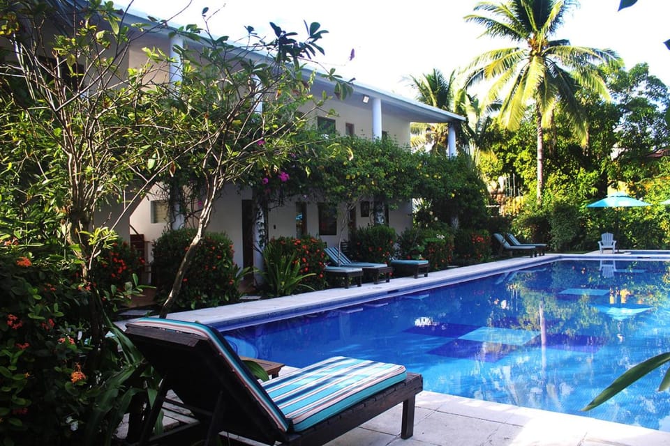 Garden, Garden view, Swimming pool