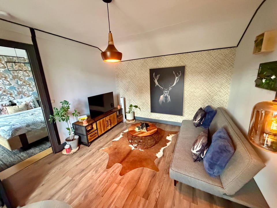 Communal lounge/ TV room, TV and multimedia, Living room, Seating area