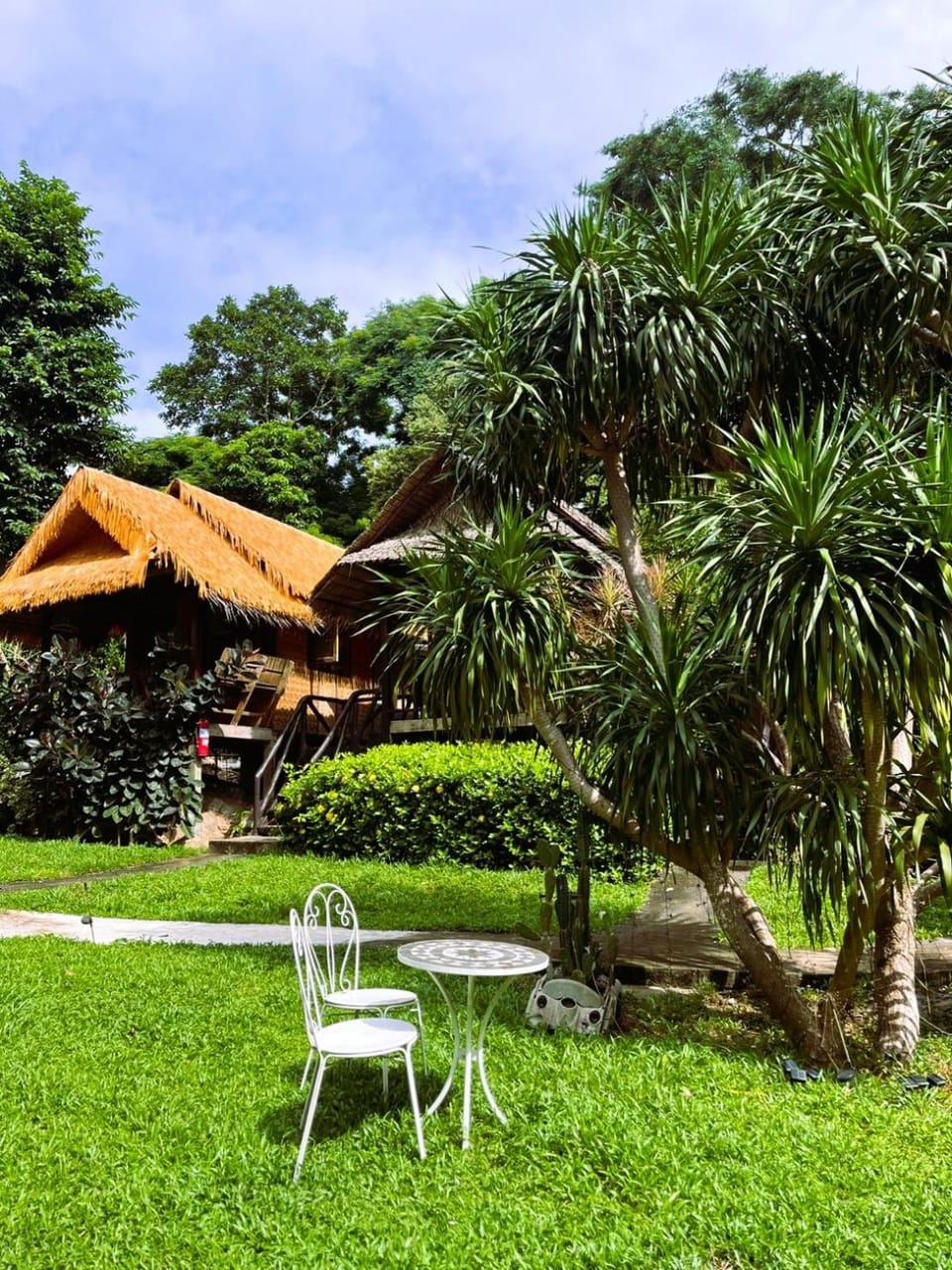 Garden view