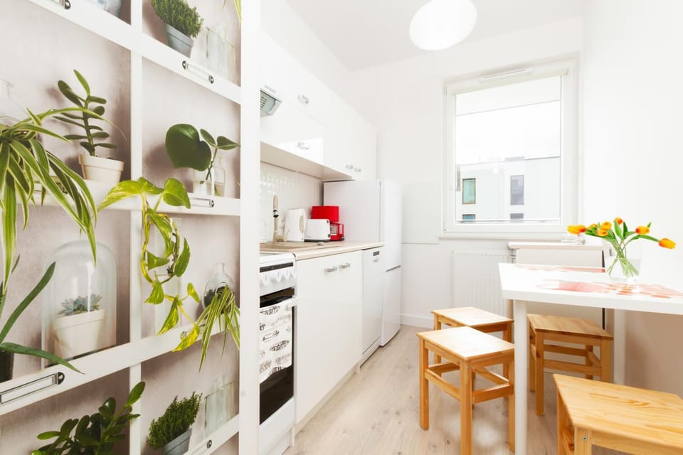 Kitchen or kitchenette, oven, stove