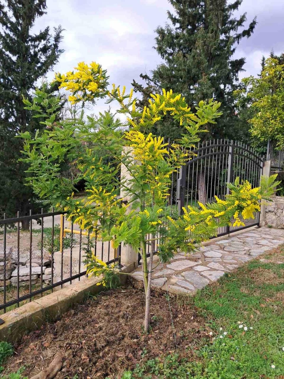 Apartman Sofija HN Apartment in Dubrovnik-Neretva County