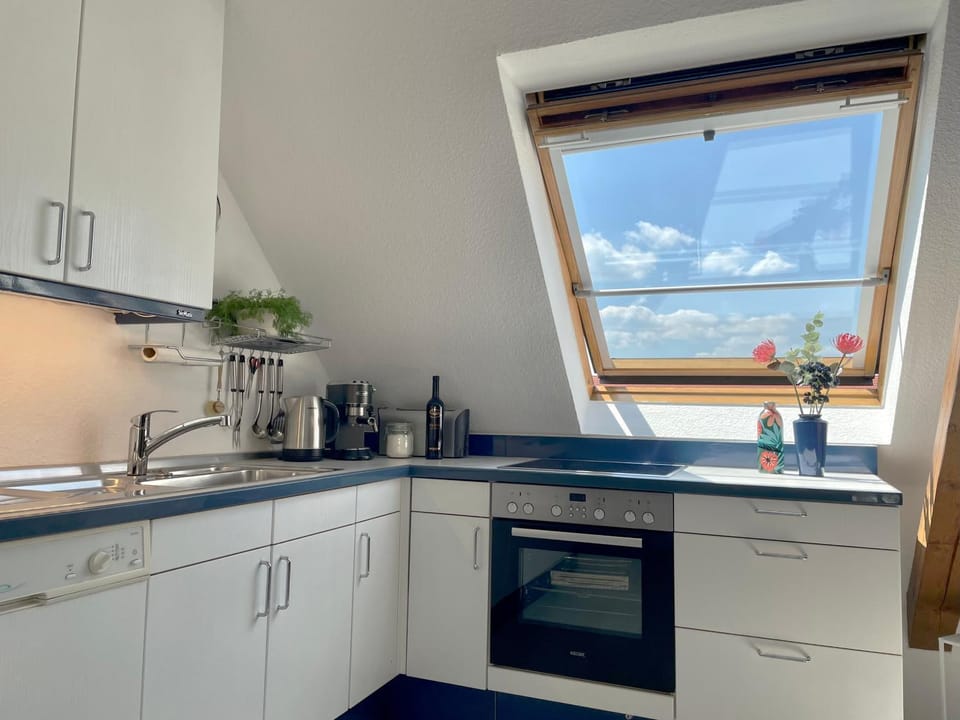 Kitchen or kitchenette, kitchen