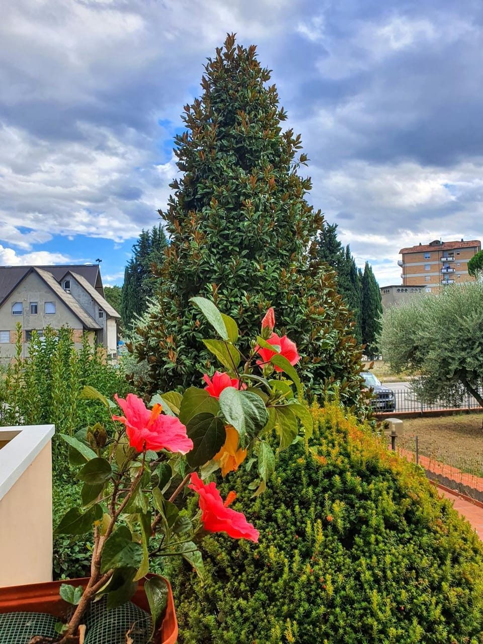 Garden view