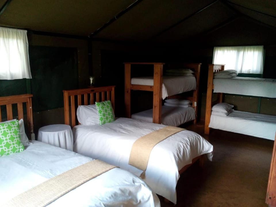 Bed, Photo of the whole room, Bedroom, bunk bed