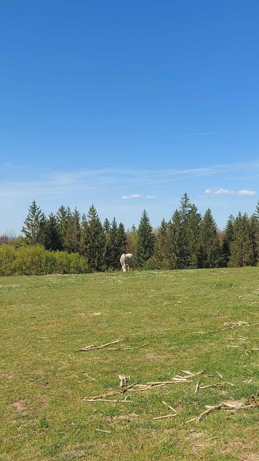 Koliba Liška House in Zlatibor District, Serbia