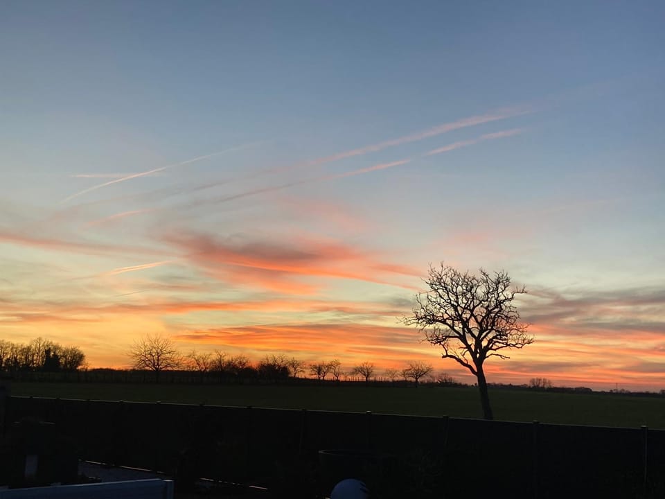 View (from property/room)
