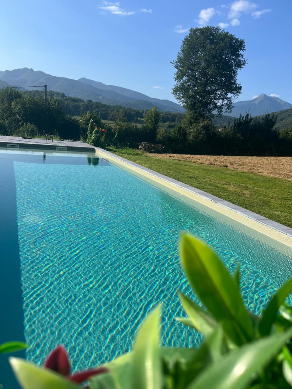 Annicq et Georges-Marie Bed and Breakfast in Occitanie
