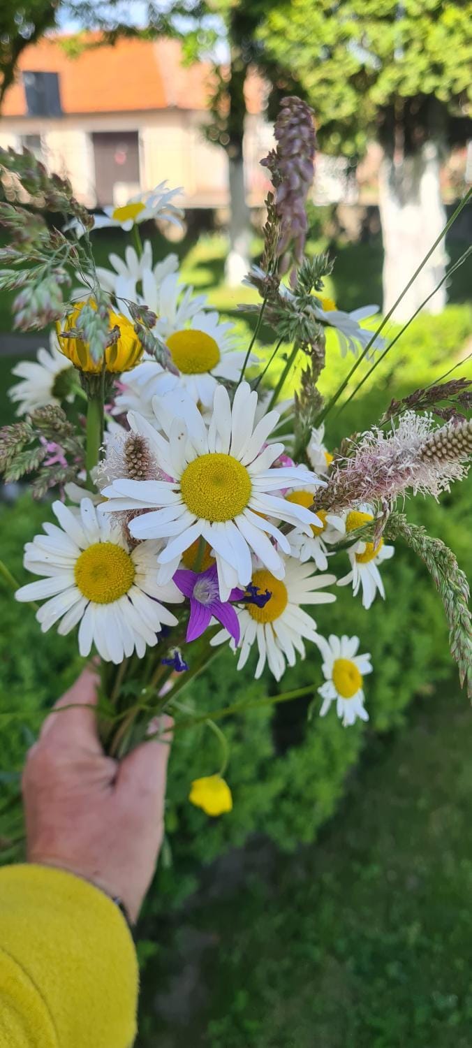 Spring, Garden view