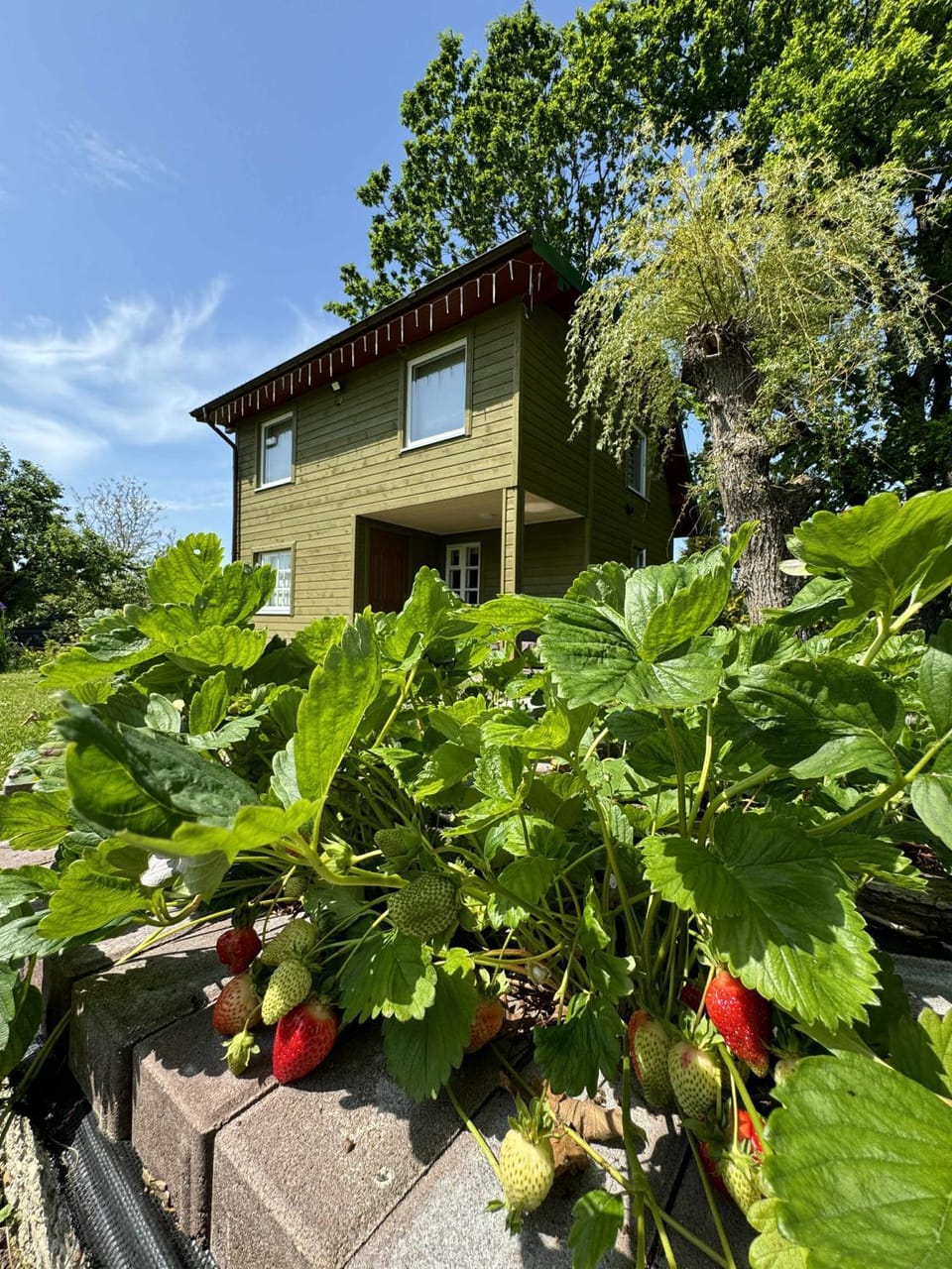 Margis House Apartment in Klaipėda County, Lithuania