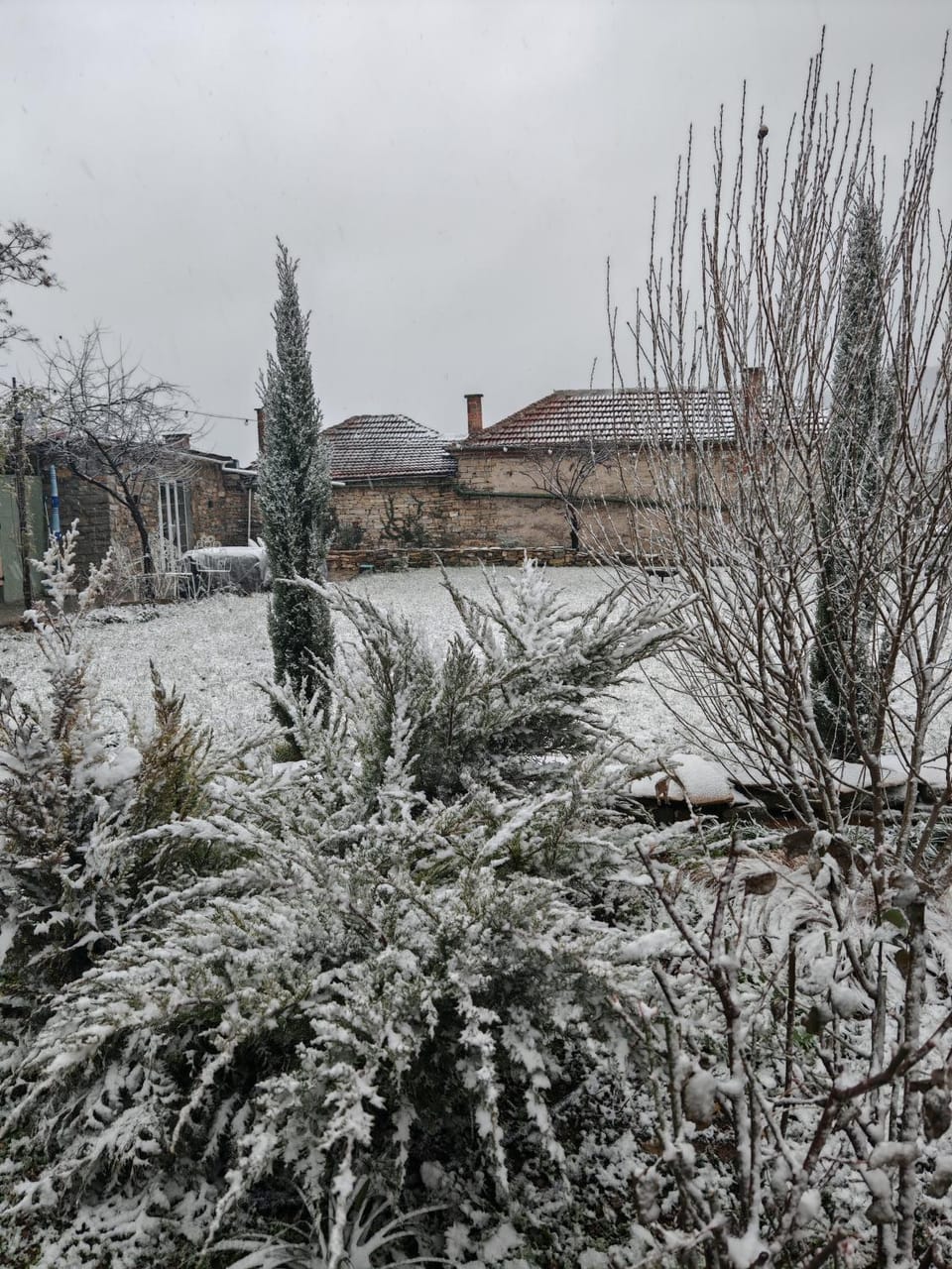 Winter, Garden