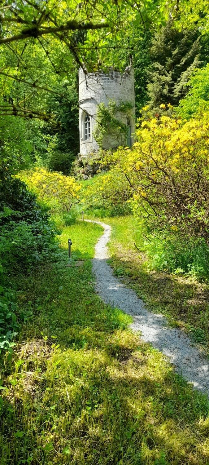 Spring