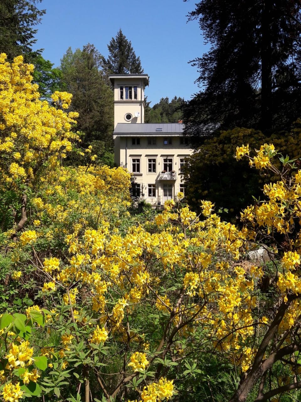 Garden, Garden view