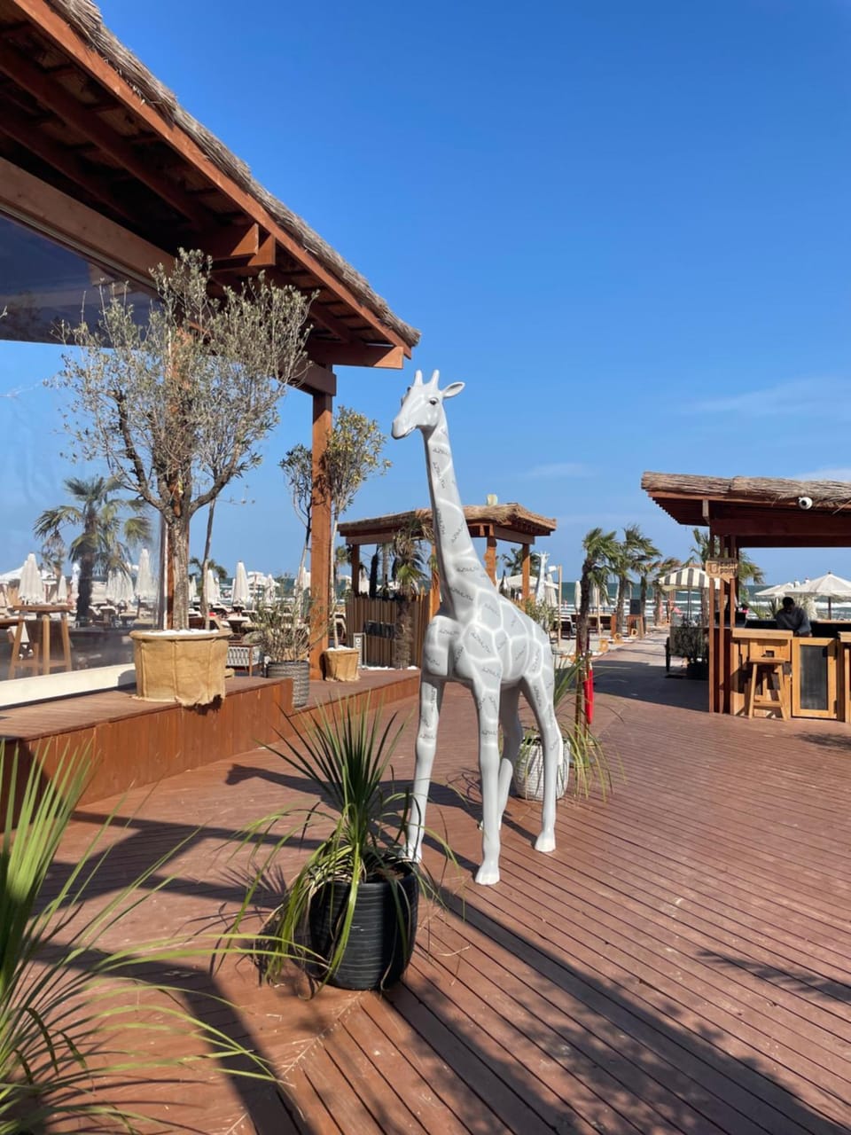 ACRIMA Studios 108 Mamaia Nord Apartment in Constanța County