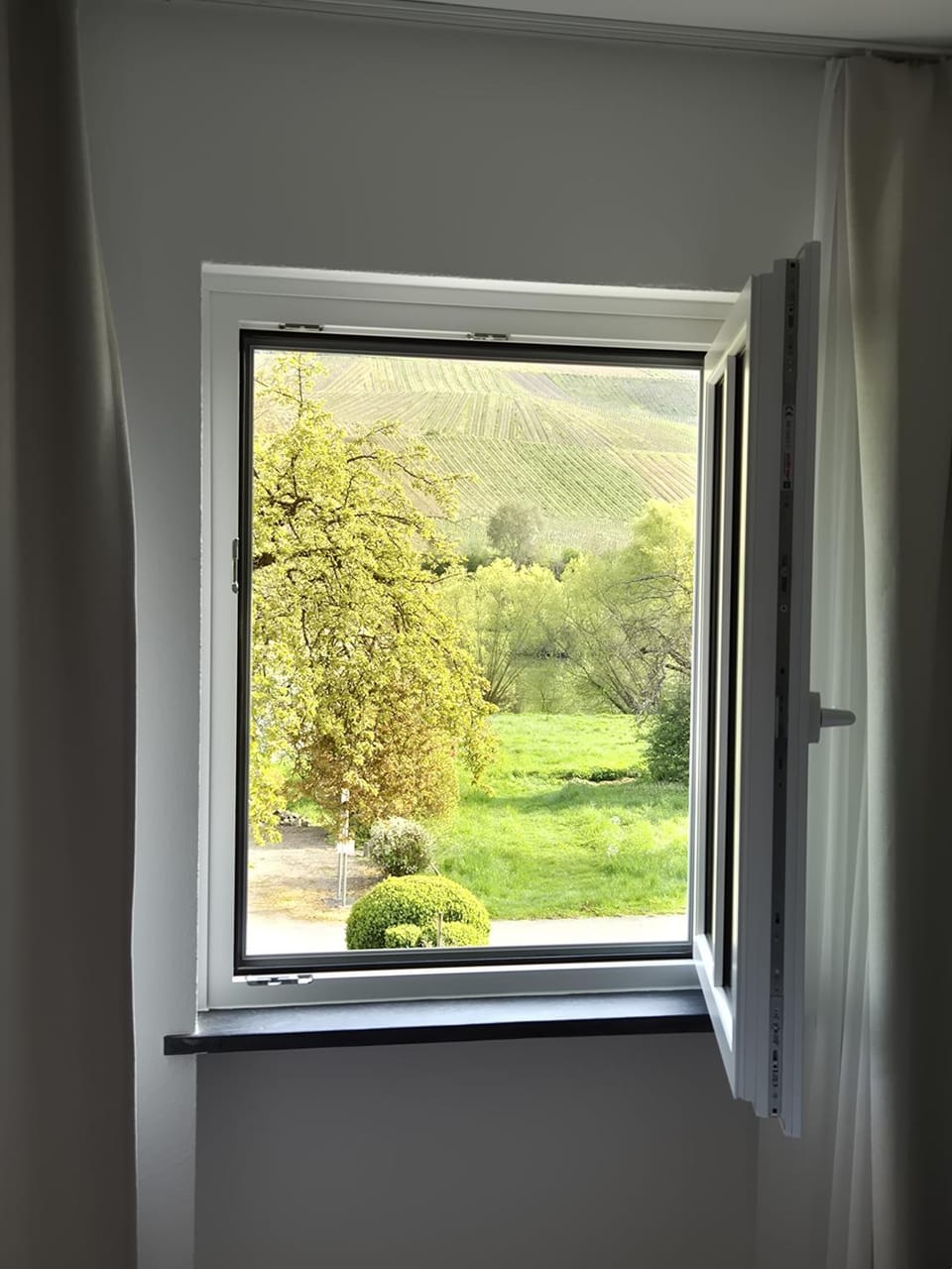 Feriengut Bohn Bed and Breakfast in Bernkastel-Kues