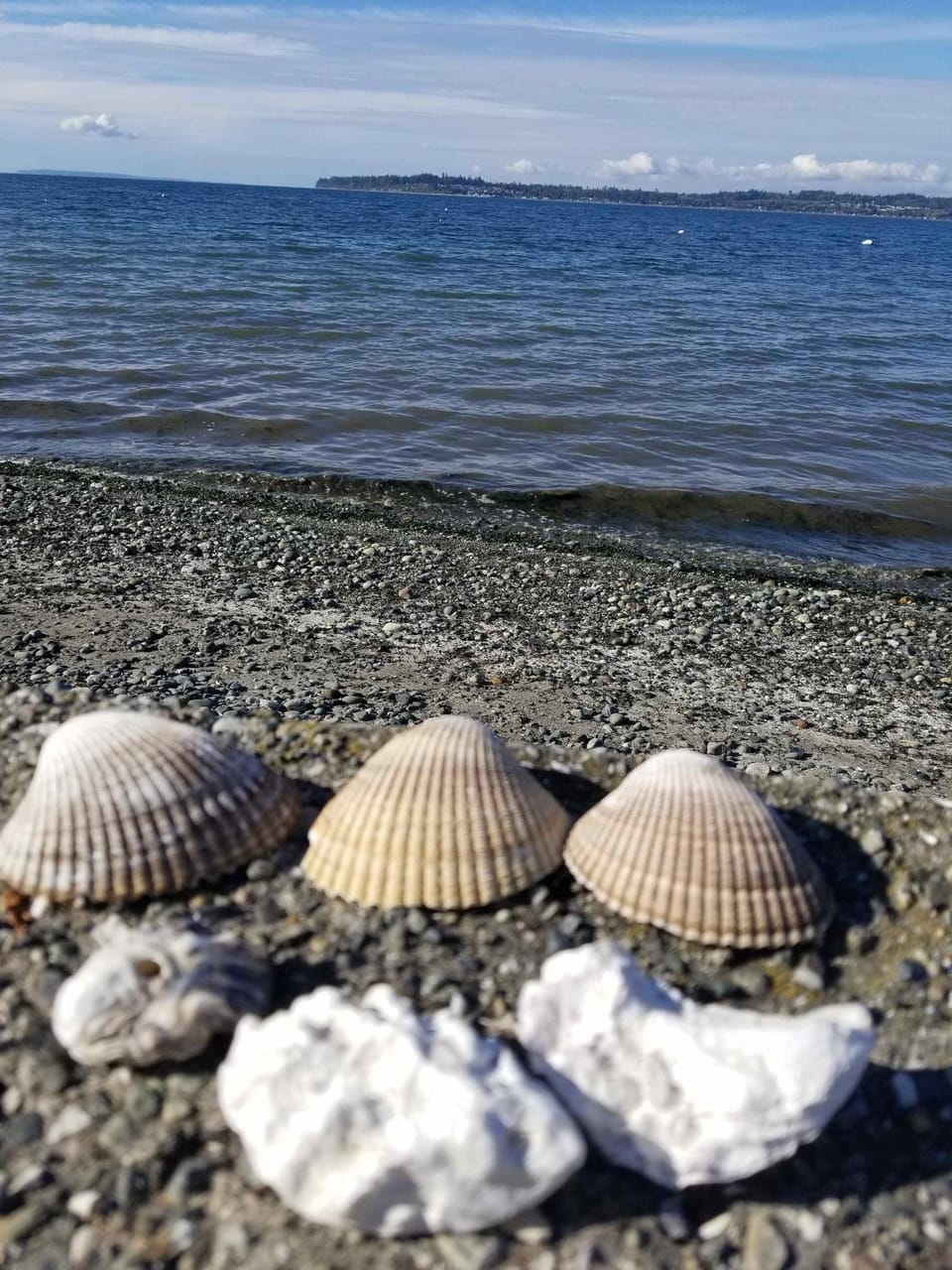 Natural landscape, Beach
