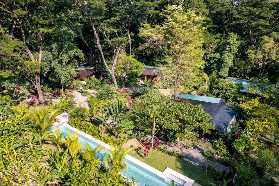 Feeling Trees Jungle Lodge House in Cobano