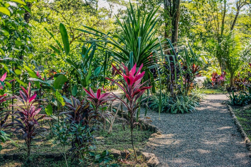Feeling Trees Jungle Lodge House in Cobano