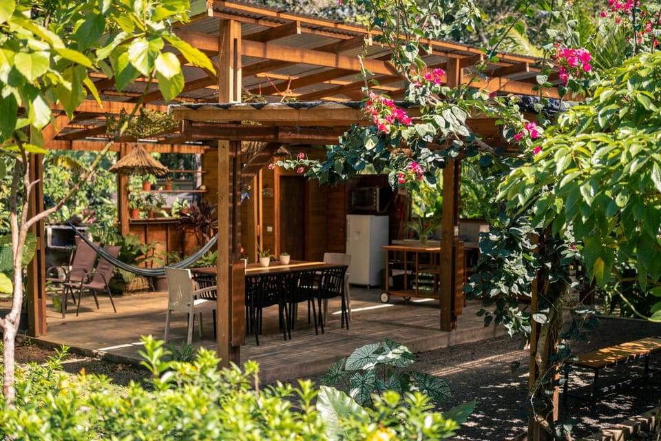 Patio, Day, Garden, Dining area, Garden view