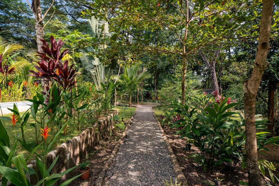 Feeling Trees Jungle Lodge House in Cobano