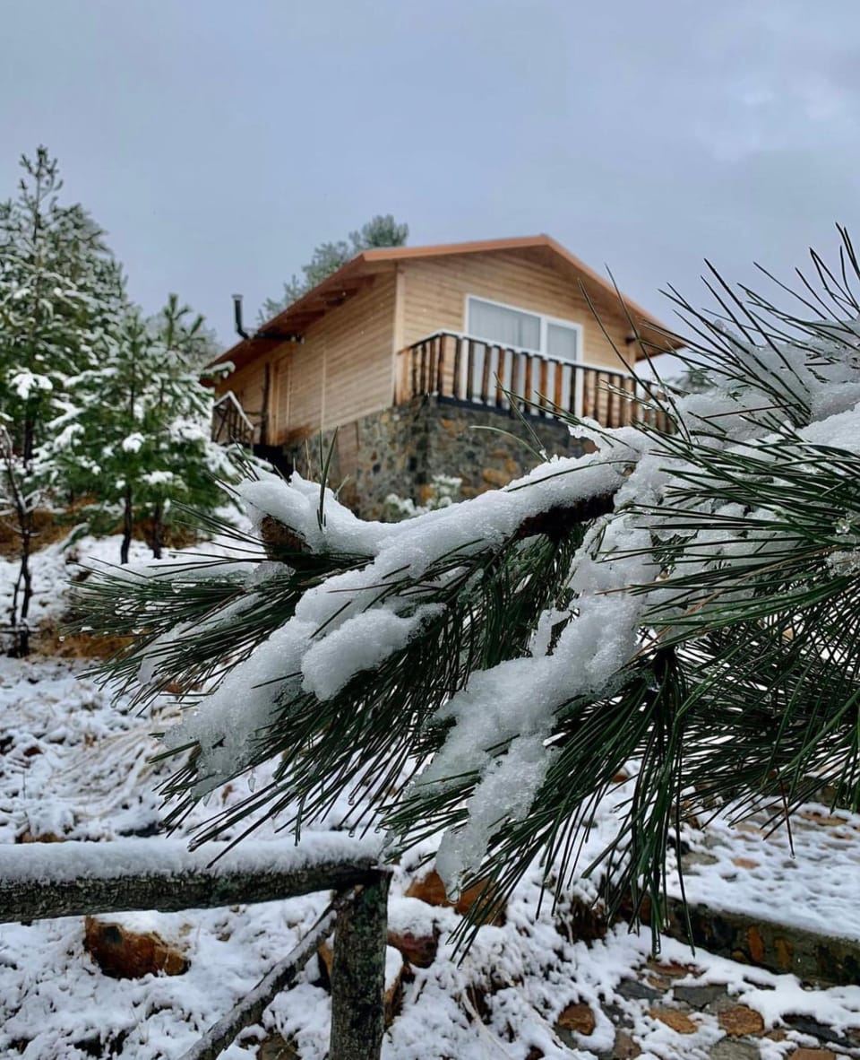 Property building, Natural landscape, Winter